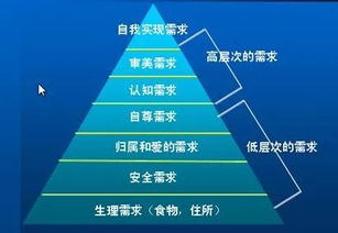 不同用户需求分析图表